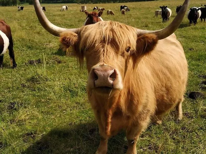 Self Check-in Attic Next To Hiking Trails شقة Kärde