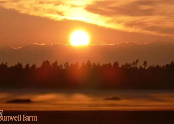 Self Check-in Attic Next To Hiking Trails شقة *