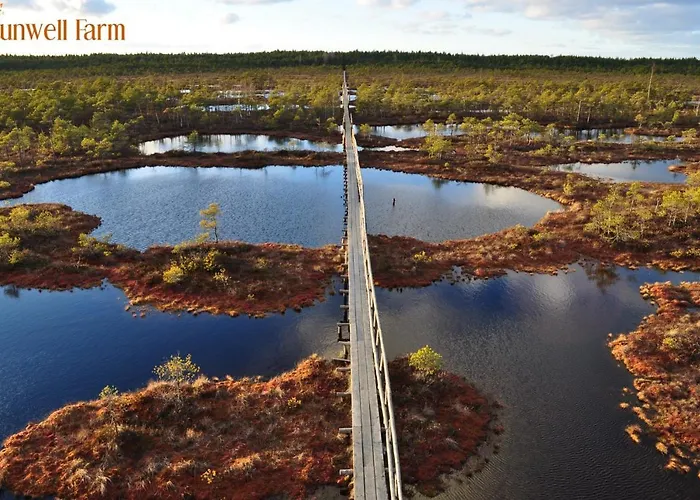 Self Check-in Attic Next To Hiking Trails شقة *
