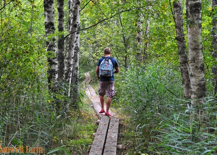 شقة Self Check-in Attic Next To Hiking Trails Kärde