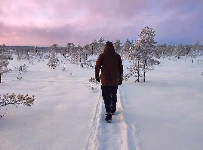 Self Check-in Attic Next To Hiking Trails شقة