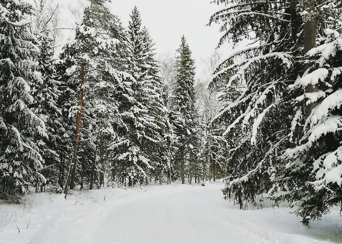 Self Check-in Attic Next To Hiking Trails
