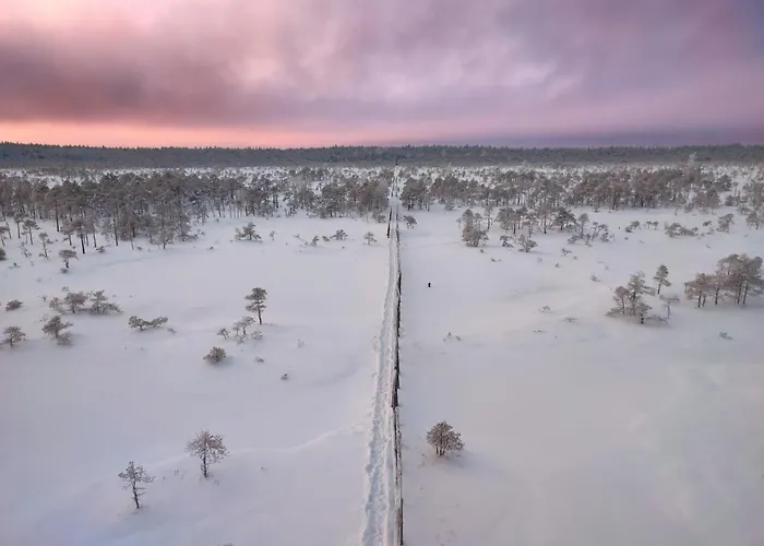 شقة Self Check-in Attic Next To Hiking Trails