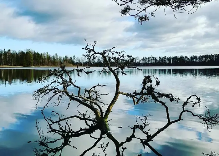 Self Check-in Attic Next To Hiking Trails